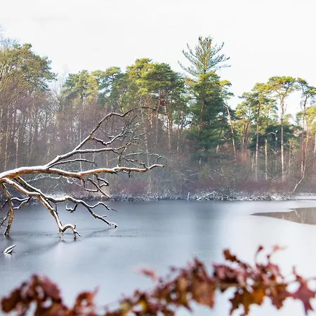 Modern Tilburg, Balcony & Kitchen דירה