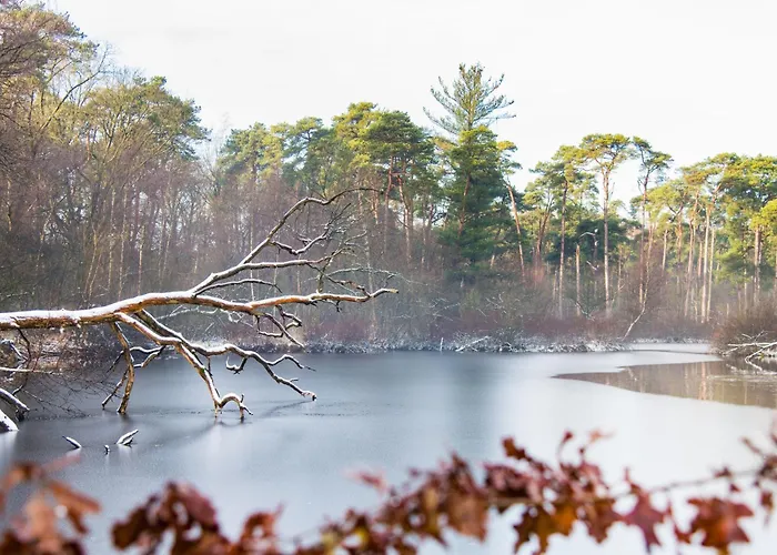 Modern Tilburg, Balcony & Kitchen Apartman
